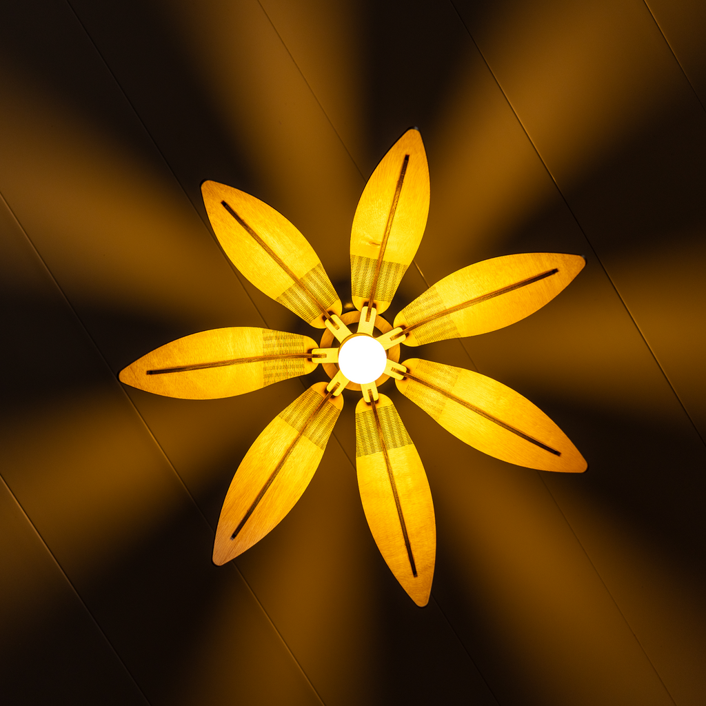Floria