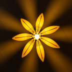 Floria