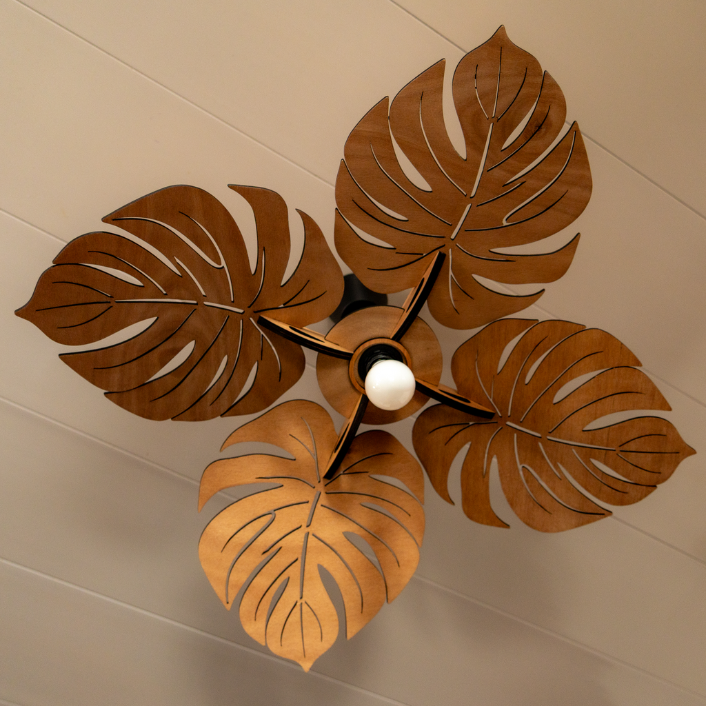 Monstera