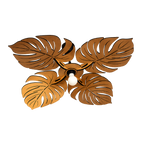 Monstera